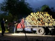 Denuncian robos, deforestación e inacción judicial en la ruta 86