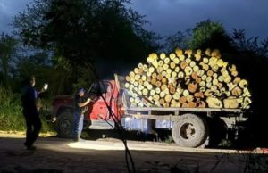 Denuncian robos, deforestación e inacción judicial en la ruta 86