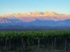 La herencia geológica del vino calchaquí