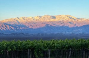 La herencia geológica del vino calchaquí