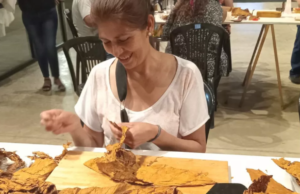 Salta proyecta una cooperativa para artesanos del puro