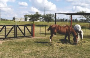 Del sector minero al campo: nuevos materiales para el agro