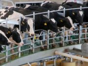 La competencia por las exportaciones es feroz