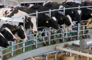 La competencia por las exportaciones es feroz