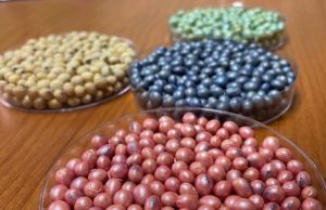 Coinoculación y tratamiento acelerado: los conceptos del año en biológicos