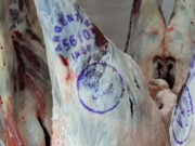 La carne ovina suma nuevos destinos internacionales