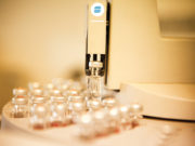 Habilitan nuevas vacunas virales para la sanidad del ganado