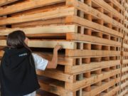 Modernizan la normativa sobre embalajes de madera