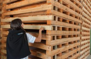 Modernizan la normativa sobre embalajes de madera