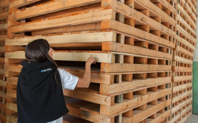 Captura de pantalla_1-1-2026_193229_www.argentina.gob.ar (1)