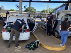 Qué lácteos y productos porcinos pueden ingresar a la Argentina