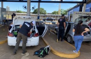 Qué lácteos y productos porcinos pueden ingresar a la Argentina