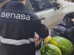 Argentina y Chile avanzan en una agenda sanitaria y comercial