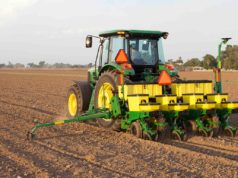 Avanza la siembra del maíz