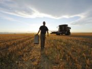 Productores confiados