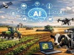 La inteligencia artificial en el agro argentino