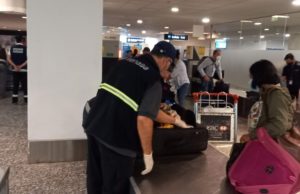 Senasa refuerza la vigilancia sanitaria en fronteras y aeropuertos