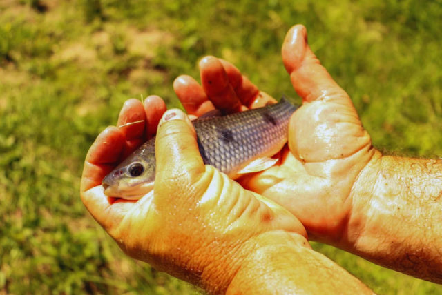 bogaacuiculturas-2-1536x1027.jpg (1)