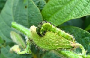 La campaña 2024/25 bajo la lupa de la REM