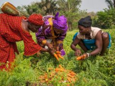 Año Internacional de la Mujer Agricultora