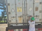 Corrientes: la carne ovina llega a Kuwai