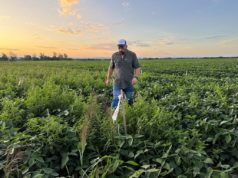 Manejo defensivo y monitoreo, claves de la campaña agrícola en Salta🔊