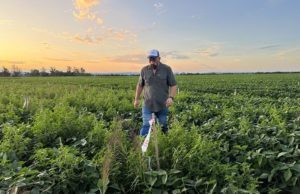 Manejo defensivo y monitoreo, claves de la campaña agrícola en Salta🔊