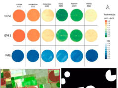 El INTA moderniza el seguimiento del riego con IA