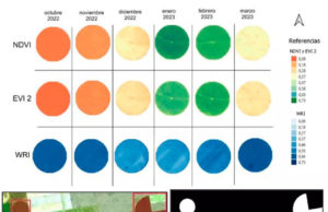 El INTA moderniza el seguimiento del riego con IA