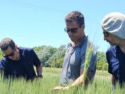 Innovación tecnológica y sostenibilidad para la rentabilidad del agro