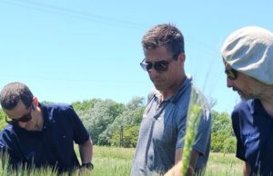 Innovación tecnológica y sostenibilidad para la rentabilidad del agro