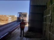 Santiago del Estero: crecen las exportaciones de alfalfa