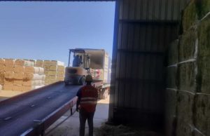 Santiago del Estero: crecen las exportaciones de alfalfa