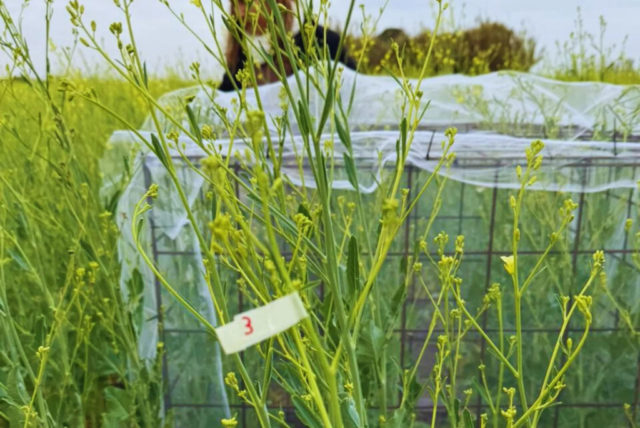 2-283-1536x1027.jpg (1)