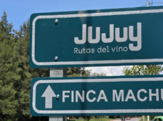 Enoturismo: Jujuy fortalece su Ruta del Vino y diversifica la oferta