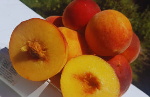 Durazno: nuevas variedades del INTA llegan al mercado