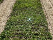 Claas invierte en una startup alemana de agronomía digital