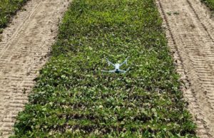 Claas invierte en una startup alemana de agronomía digital