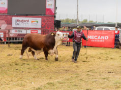 ABA inicia el año con la segunda Expo Braford Avanza