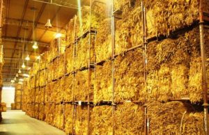 Ya el negocia el precio del tabaco