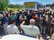 NOA: la cosecha olivícola en suspenso por falta de acuerdo salarial