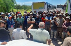 NOA: la cosecha olivícola en suspenso por falta de acuerdo salarial