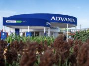 Advanta llega a Expoagro con una propuesta integral