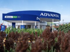Advanta llega a Expoagro con una propuesta integral