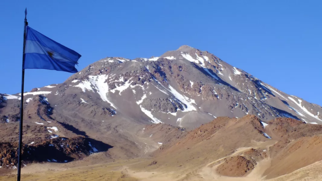 bf774898-03f0-4c81-b41c-8ae4df5e54e5 (1)