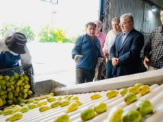 Catamarca enviará a Europa su primera exportación de tuna