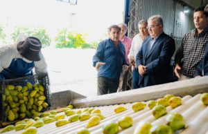 Catamarca enviará a Europa su primera exportación de tuna