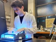 Un sistema permite medir fosfato con el celular