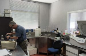 Diagnóstico veterinario especializado, un aporte a la sanidad animal del NOA