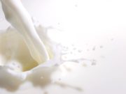 “La producción de leche creció, pero los precios no acompañaron en el segundo semestre”